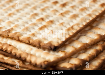 Matzo casher maison faite avec des craquelins de la farine et de l'eau Banque D'Images