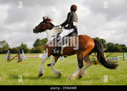 Une fille à cheval un cheval brun à un pays de gymkhana. Banque D'Images