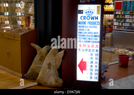 Boutique d'ailerons de requins dans l'aéroport de Jakarta Banque D'Images