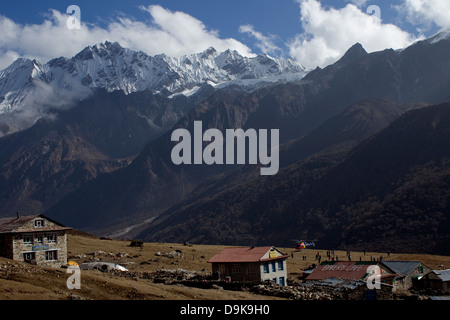 Trekking au Langtang, Népal - Kyanjin Gompa, hélicoptère Banque D'Images