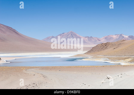 Dans le Lipez Laguna Salada Banque D'Images