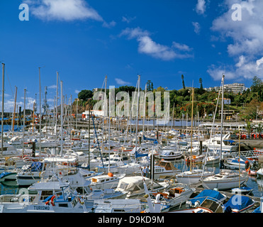 Bateaux amarrés dans le soleil dans le port de plaisance de Funchal / début décembre. Madère, l'Europe. Banque D'Images