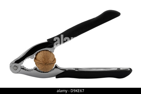 Casse-noisette with clipping path Banque D'Images