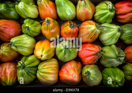 Colorés assortis Tomates Heirloom mûres juteuses Banque D'Images