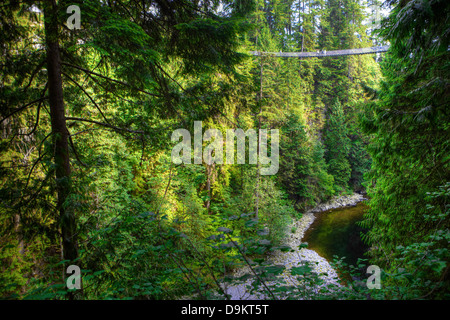 Une vue horizontale de la Capilano Suspension Bridge sur une ligne d'arbres, à proximité de Vancouver, Colombie-Britannique, Canada. Banque D'Images