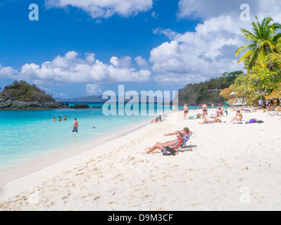 Trunk Bay Beach sur l'île des Caraïbes de St John dans les îles Vierges américaines Banque D'Images