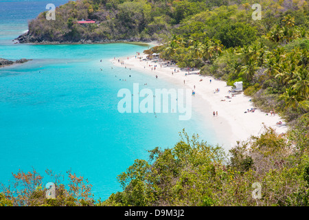 Trunk Bay Beach sur l'île des Caraïbes de St John dans les îles Vierges américaines Banque D'Images