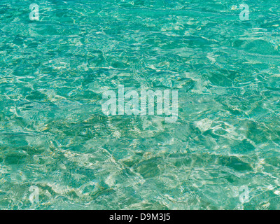 Bleu clair vert d'eau sur l'île des Caraïbes de St John dans les îles Vierges américaines Banque D'Images