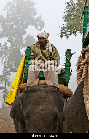 Garde forestier sur les patrouilles de l'éléphant pour tiger les braconniers dans Kanha National Park, Inde Banque D'Images