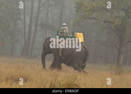 Garde forestier sur les patrouilles de l'éléphant pour tiger les braconniers dans Kanha National Park, Inde Banque D'Images