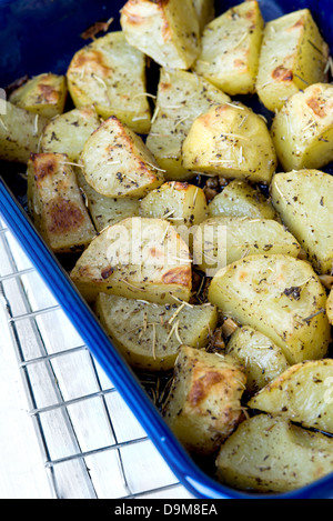 Pommes de terre au four au romarin en bleu marine la sauvegarde sur un rack métal pan Banque D'Images