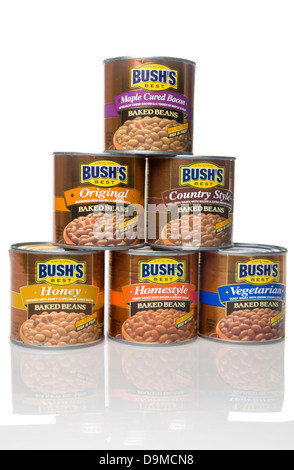 Bush Beans peut USA Banque D'Images