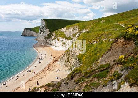 Plage emblématique de Durdle Door dans le sud de l'Angleterre en été. Banque D'Images