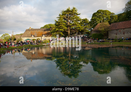 La pouliche Loo à Ashmore, près de Shaftesbury Banque D'Images