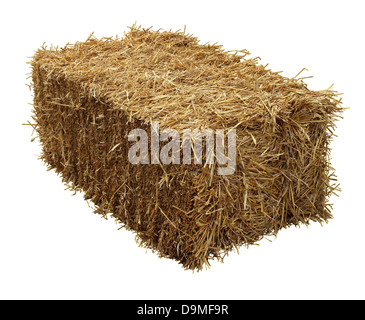 Balle de foin isolé sur un fond blanc comme un symbole de l'agriculture et l'élevage de la ferme de l'époque de récolte avec herbe séchée de la paille à un attaché de foin. Banque D'Images