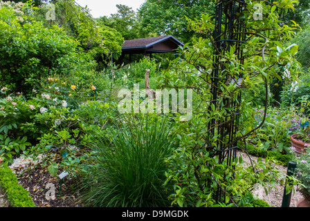 Paris, France, Paysage, jardin public, visite du Parc floral au Parc floral, Bois de Vincennes, herbes naturelles et plantes médicinales Banque D'Images