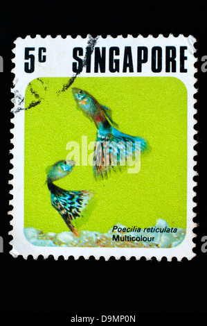 Timbres-poste en studio Banque D'Images