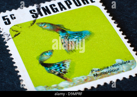 Timbre-poste de Singapour en studio Banque D'Images