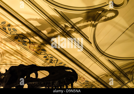 Squelette de dinosaure jette une ombre sur le plafond de la Natural History Museum. Londres, Angleterre. Banque D'Images