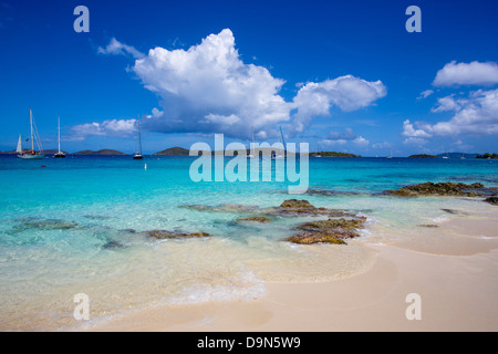 Honeymoon Beach sur l'île des Caraïbes de St John dans les îles Vierges américaines Banque D'Images