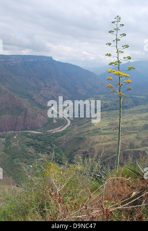 Vue depuis une fenêtre ronde d'une église à Mompos, Bolivar, Colombie Banque D'Images