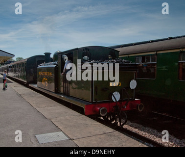 Vue depuis la gare de trains et de jacinthes des plates-formes Banque D'Images