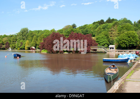 Le lac de plaisance dans le parc Coronation, Helston, Cornwall, UK Banque D'Images