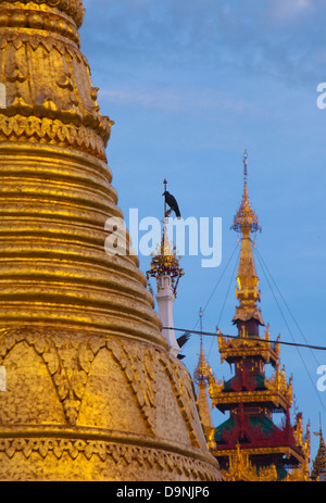 Un corbeau de perchoirs élevés chez le golden tours de la Schwedagon, temple sacré de birmanie au coeur de Rangoon. Banque D'Images