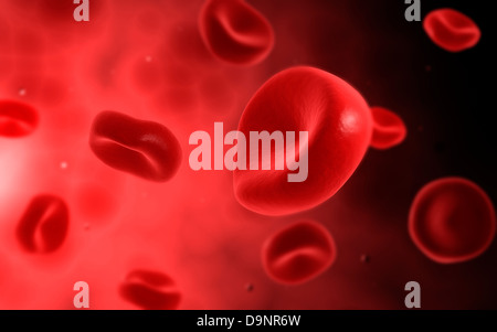 Vue microscopique des globules rouges. Banque D'Images