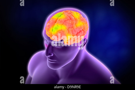 Image conceptuelle du cerveau humain. Banque D'Images