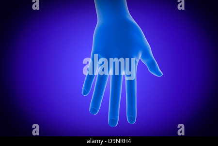 La vue X-ray de main humaine. Banque D'Images