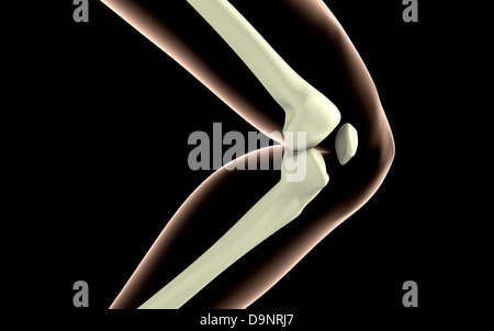 Radiographie de genou. Banque D'Images