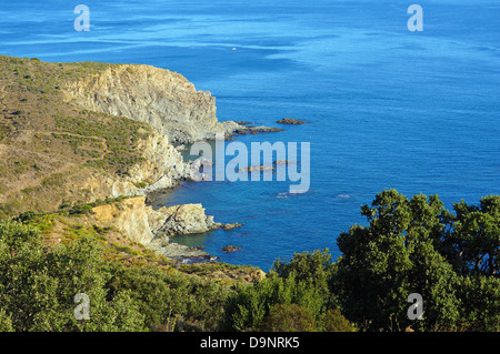 Vue côtière sur la réserve marine de Cerbère Banyuls dans la mer Méditerranée, Roussillon, côte Vermeille, France Banque D'Images