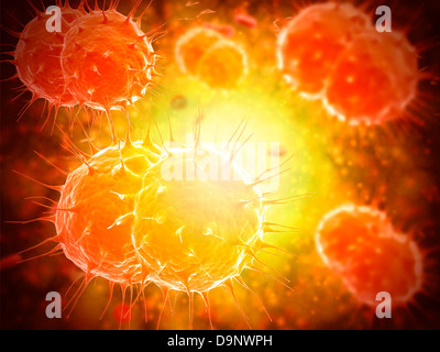 Vue microscopique de Neisseria gonorrhoeae. Banque D'Images