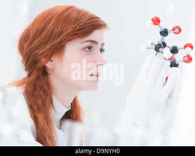 Vue latérale d'un étudiant à l'analyse d'un modèle moléculaire de l'acide citrique dans un laboratoire de chimie Banque D'Images