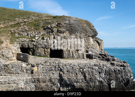 Tilly Caprice des grottes, Parc Durlston Country, à l'île de Purbeck, Dorset, England, UK. Banque D'Images