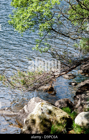 Paysage de Glendalough, Co. Wicklow Banque D'Images