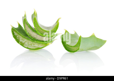 Les feuilles fraîches d'aloe vera isolé sur blanc, chemin de détourage inclus Banque D'Images