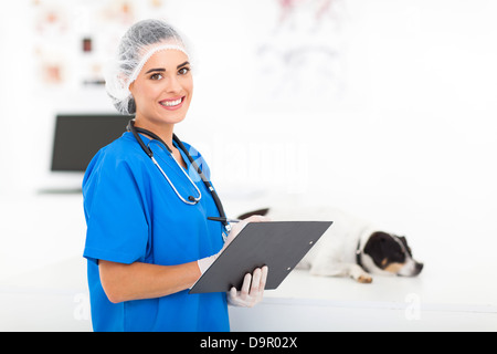 Femme médecin vétérinaire attrayant in office Banque D'Images