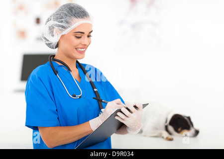 Soins infirmiers vétérinaires Rapport écrit dans un hôpital vétérinaire Banque D'Images