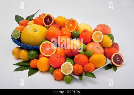 Le regroupement d'agrumes Oranges Pamplemousses Citrons Limes tangelo Banque D'Images