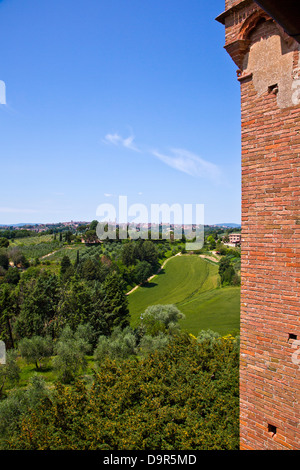 Les arbres et plantes dans un jardin, Castello delle Quattro Torra, Sienne, Province de Sienne, Toscane, Italie Banque D'Images
