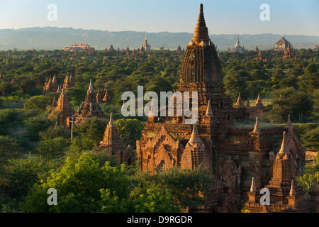 Les Temples de Bagan, Myanmar (Birmanie) Banque D'Images