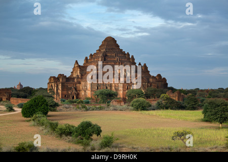 Les Temples de Bagan (temple Dhammayangyi), le Myanmar (Birmanie) Banque D'Images