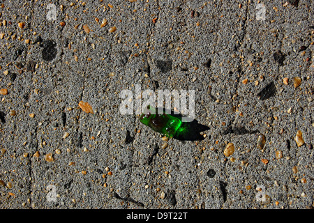 Ours Gummi sur le trottoir, New York City Banque D'Images
