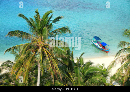 Avis de cocotiers et solitaire voile par plage de sable blanc Banque D'Images