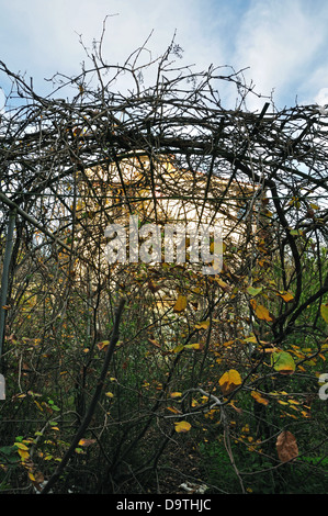 Sur vigne pergola en arc et le jardin luxuriant d'une maison abandonnée. Banque D'Images