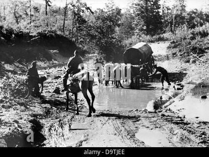 Texte de propagande du rapport national-socialiste au dos de la photo: 'Partie sud du front oriental. En traversant les torrents et les vallées du Caucase ». Motif tiré du front de l'est le 16th juillet 1942. L'attaque de la Wehrmacht allemande contre l'Union soviétique le 22nd juin 1941 se déroule sous le nom d'opération Barbarossa. Fotoarchiv für Zeitgeschichte Banque D'Images