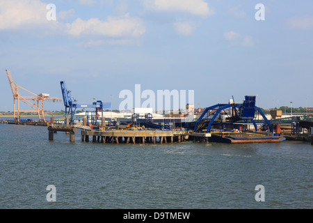 DFDS et le terminal de ferry de voiture passager de Sirena Seaways ferry pour le Danemark en Parkeston Quay, Harwich Port, Essex, Angleterre, RU Banque D'Images