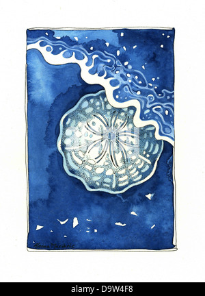 Sand Dollar sur la plage avec des vagues Banque D'Images